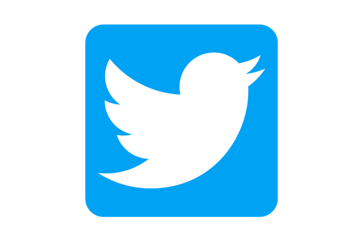 Twitter Logo FRAMED